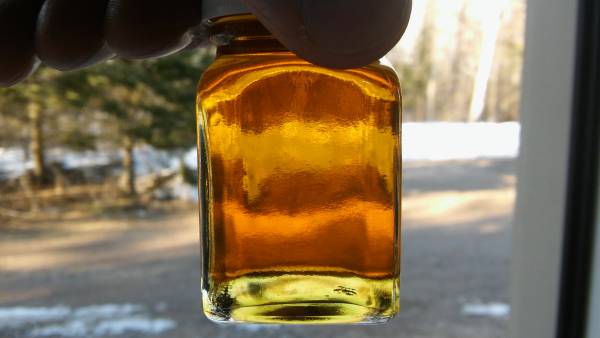 First 2017 syrup