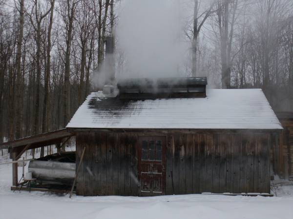 2012 maple season