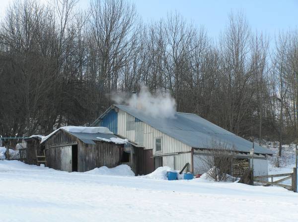 Our sugar shack