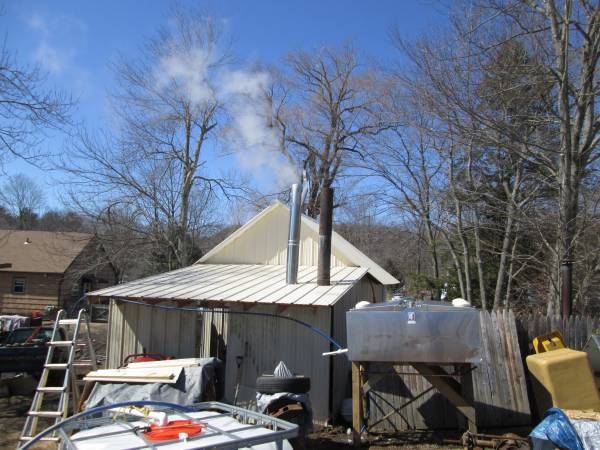 sugaring 2015