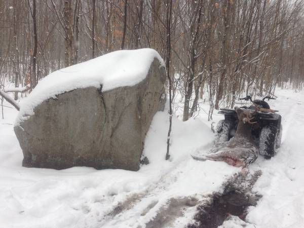 2014 snow storm buck