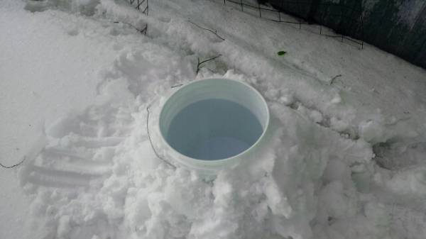 sap bucket