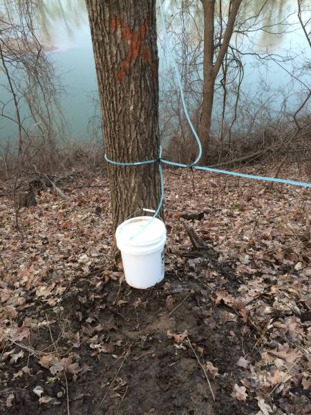 Three Tree Bucket Termination